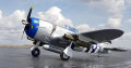 P- 47 Warbird